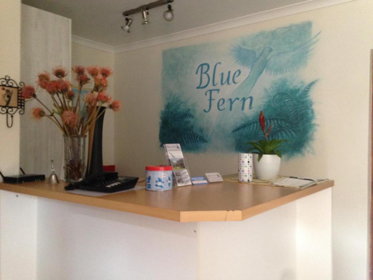 Bed and Breakfast Blue Fern Of Knysna Exterior foto