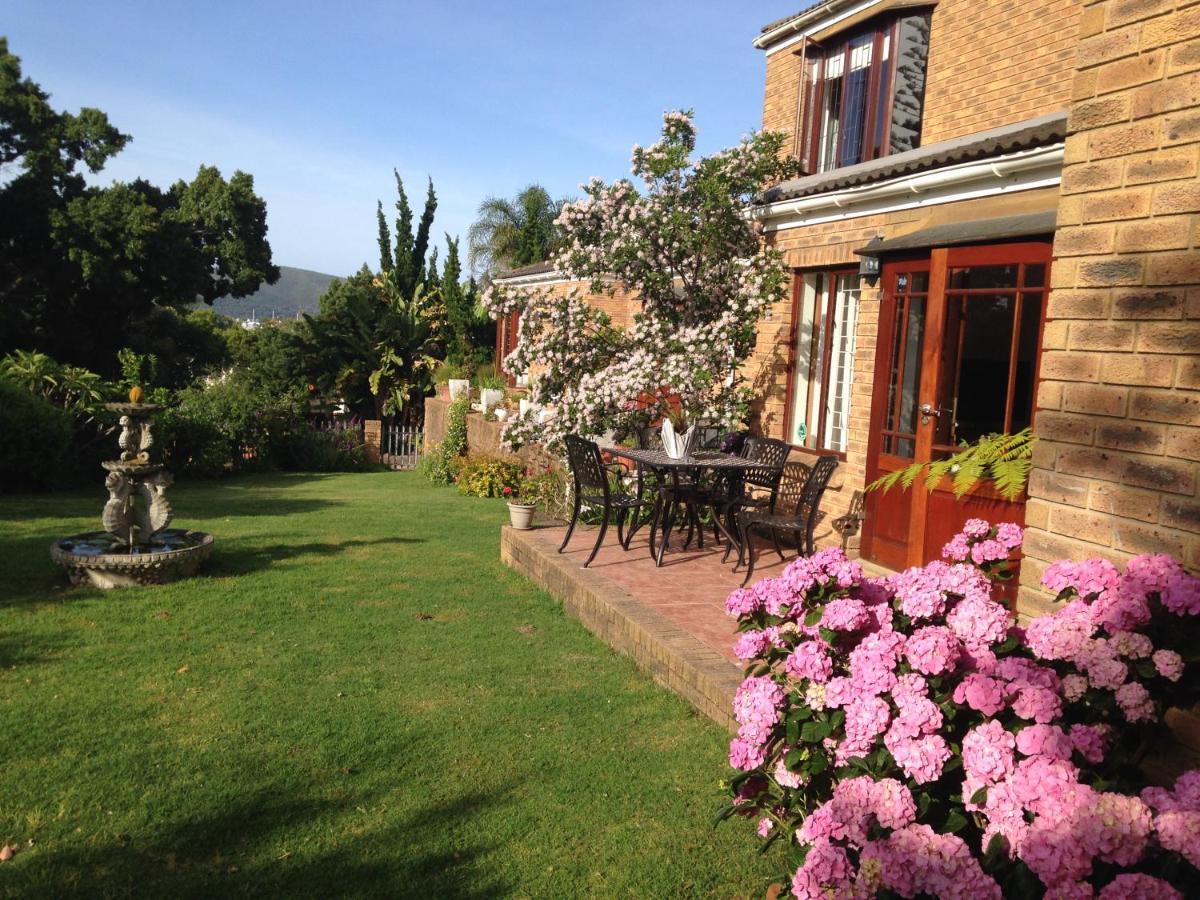 Bed and Breakfast Blue Fern Of Knysna Exterior foto