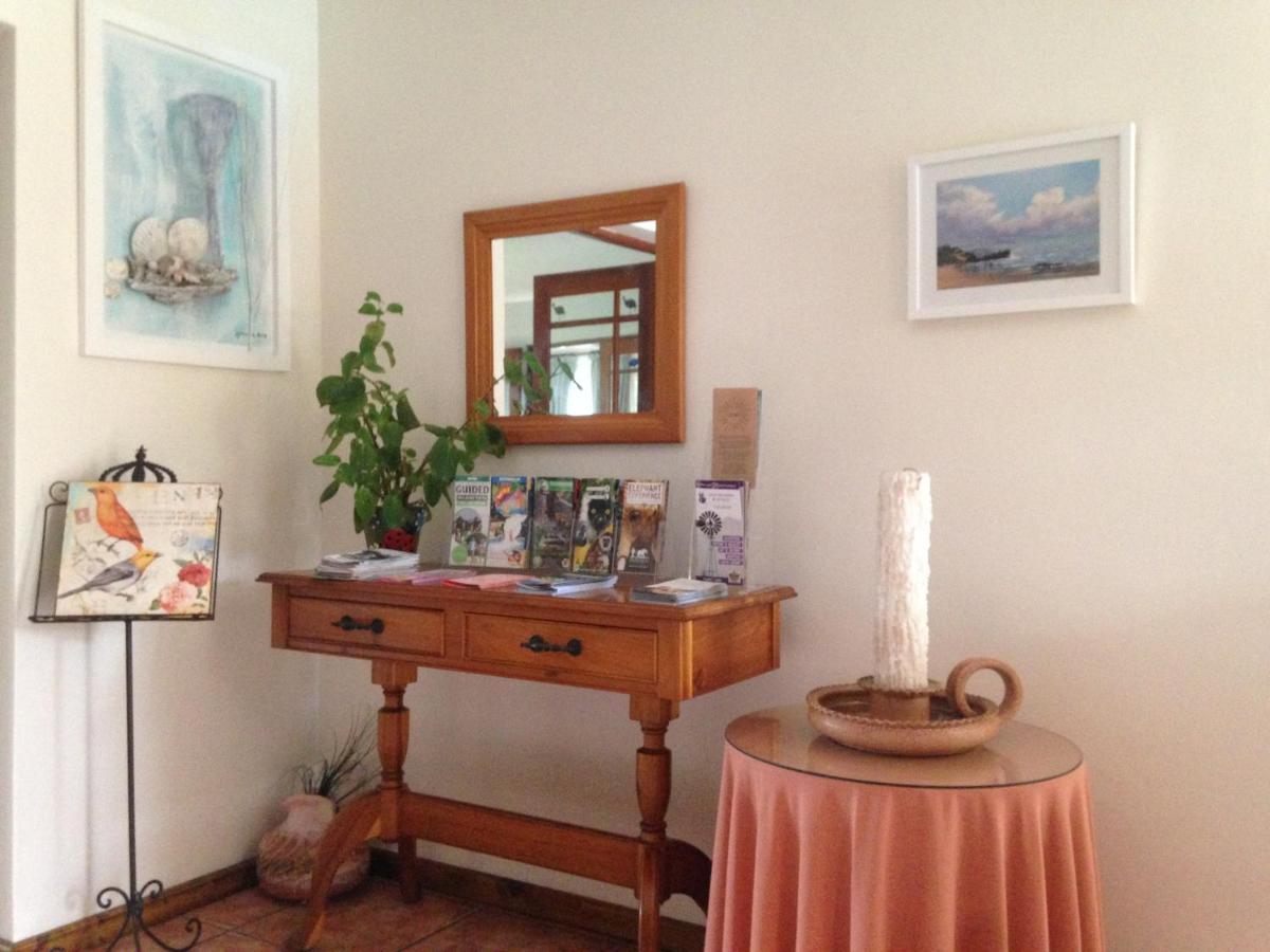 Bed and Breakfast Blue Fern Of Knysna Exterior foto