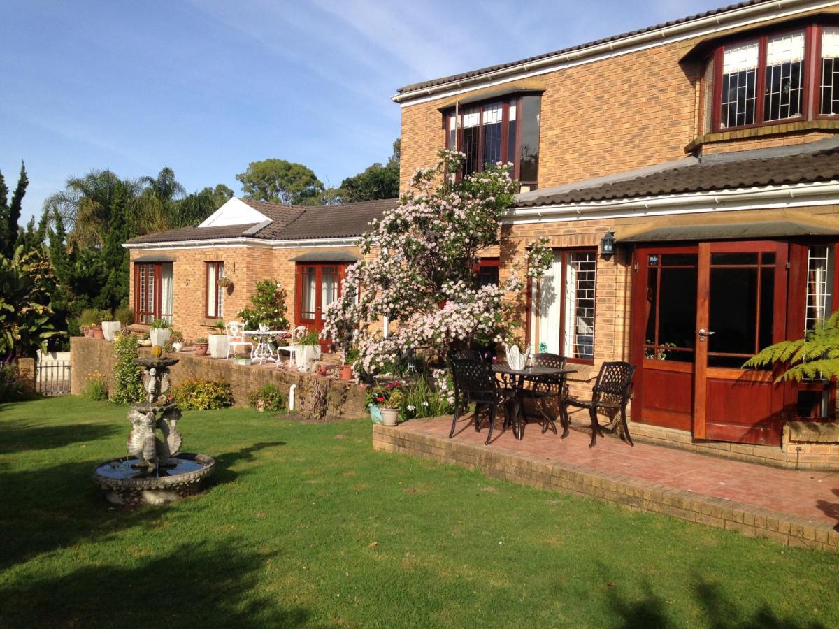 Bed and Breakfast Blue Fern Of Knysna Exterior foto