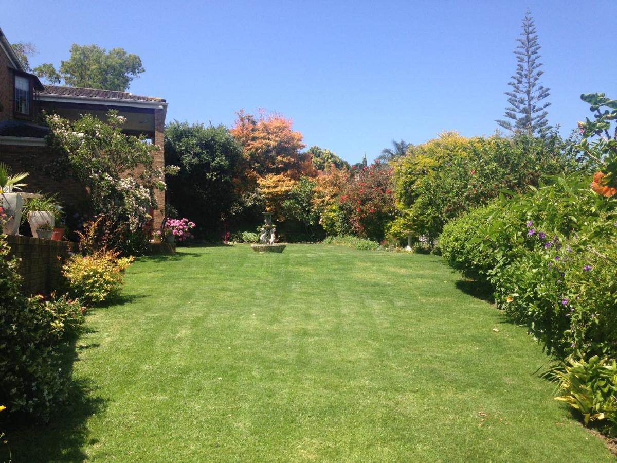 Bed and Breakfast Blue Fern Of Knysna Exterior foto