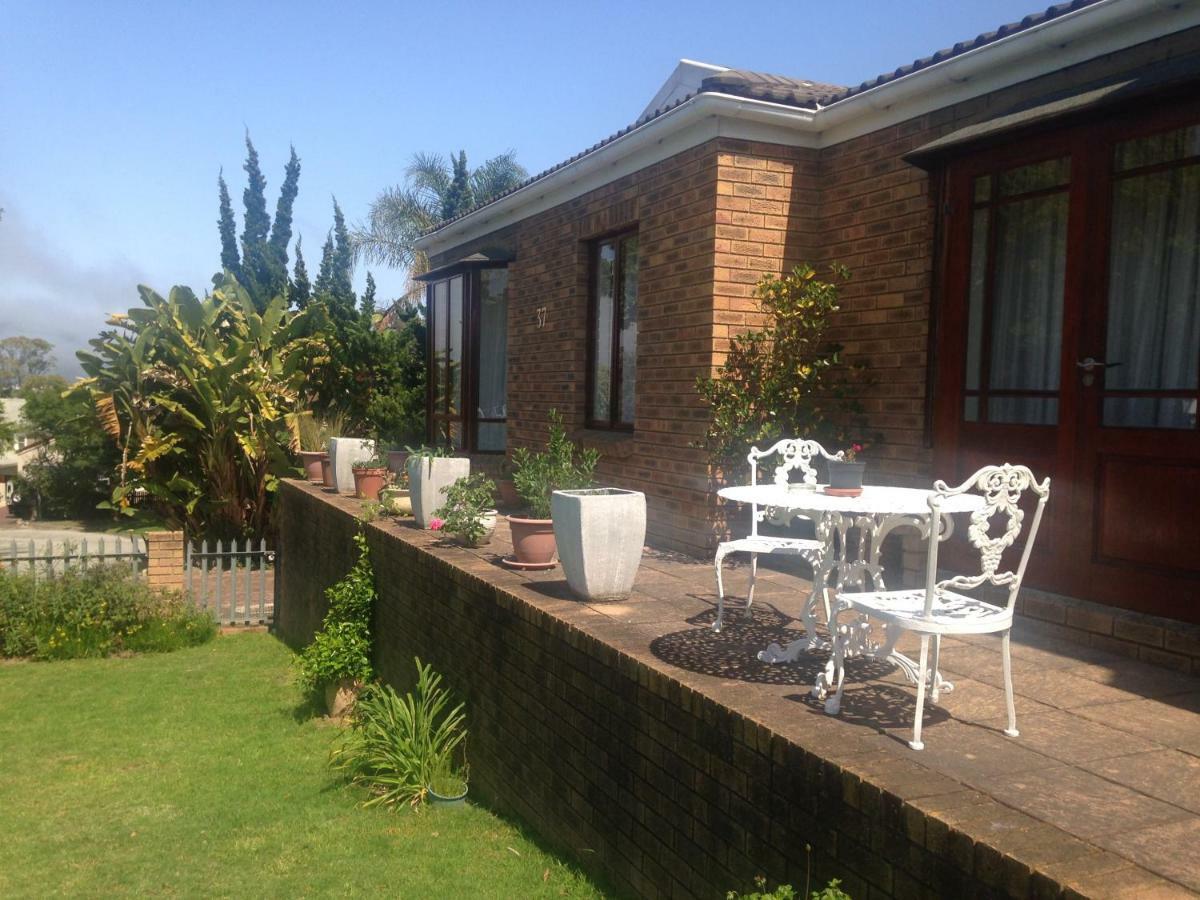 Bed and Breakfast Blue Fern Of Knysna Exterior foto