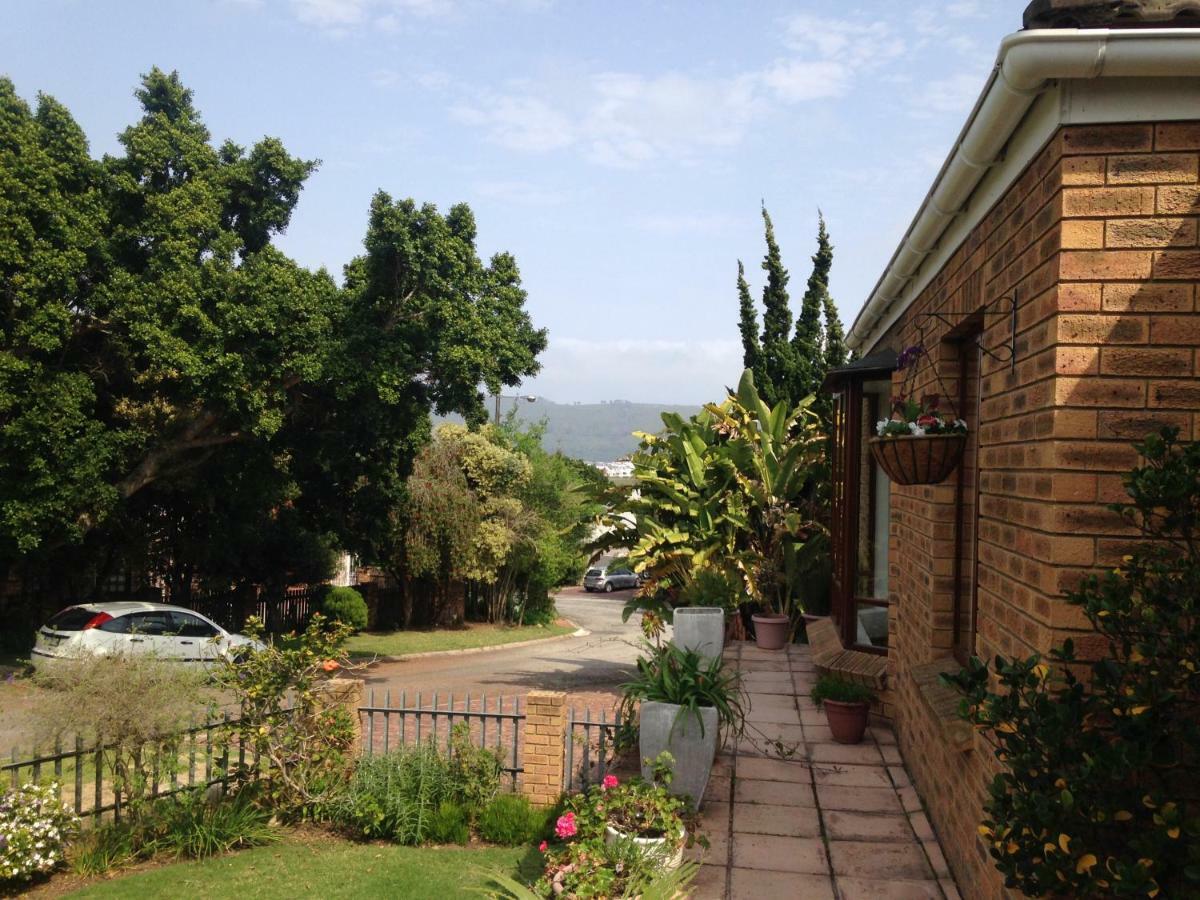 Bed and Breakfast Blue Fern Of Knysna Exterior foto